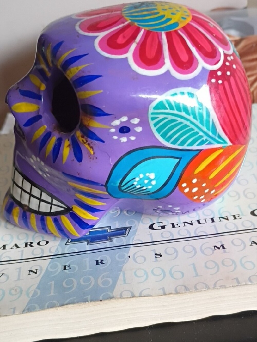 Scull Colorful - Picture 4 of 7